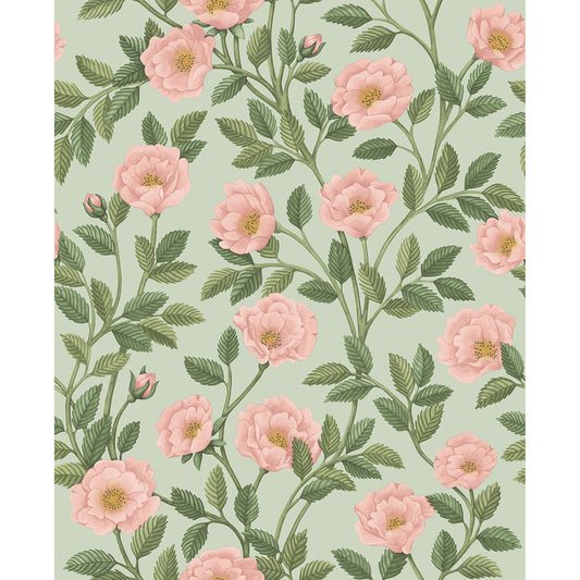 COLE & SON HAMPTON ROSES R&LGRN/DEGG