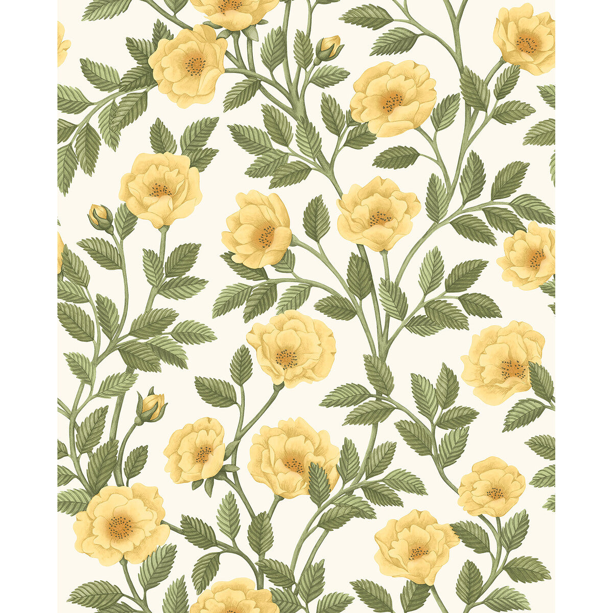COLE & SON HAMPTON ROSES MRG&OGRN/WH