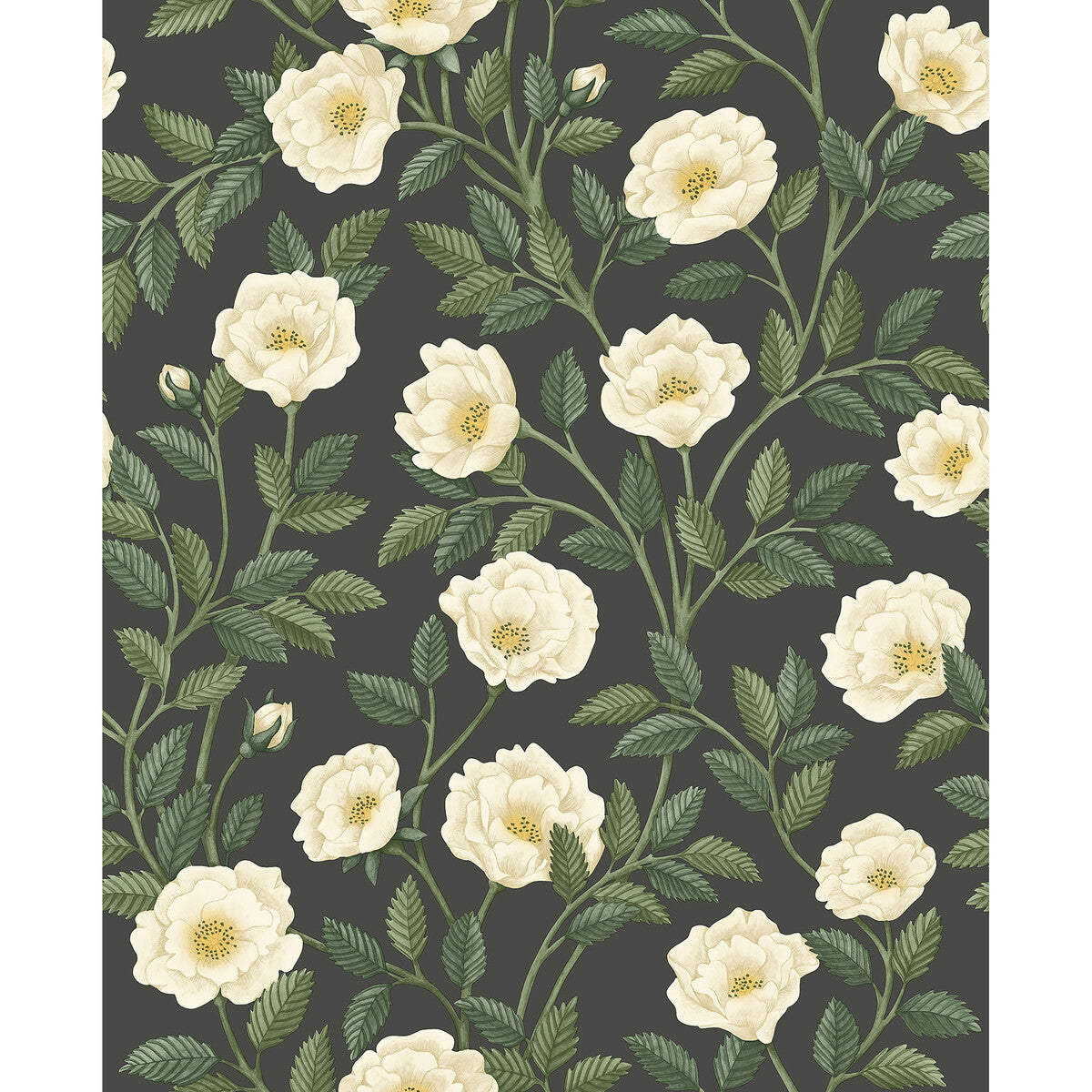 COLE & SON HAMPTON ROSES CRM&FGRN/CH