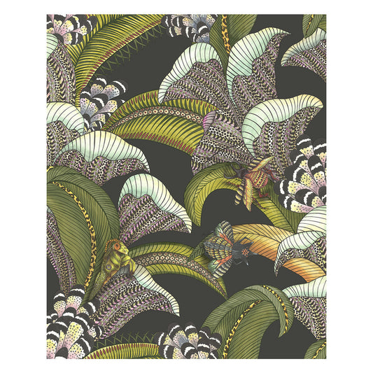 COLE & SON HOOPOE LEAVES OLIVE BLACK