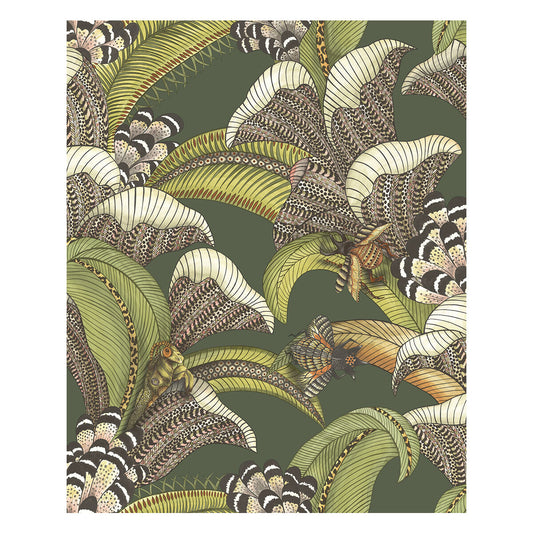 COLE & SON HOOPOE LEAVES SPRING GREEN AND CORAL