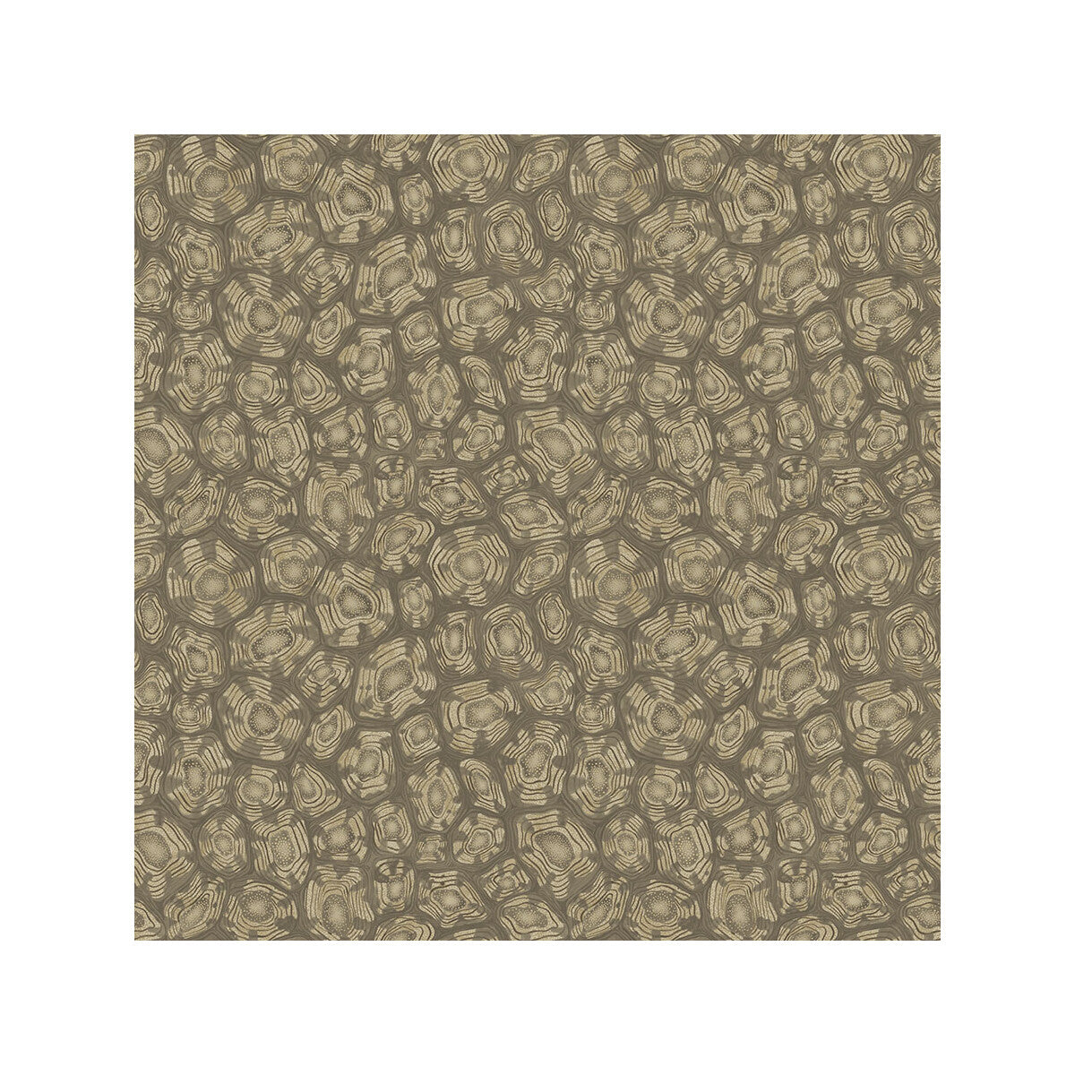 COLE & SON SAVANNA SHELL GILVER