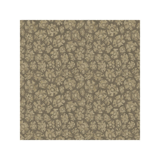 COLE & SON SAVANNA SHELL GILVER