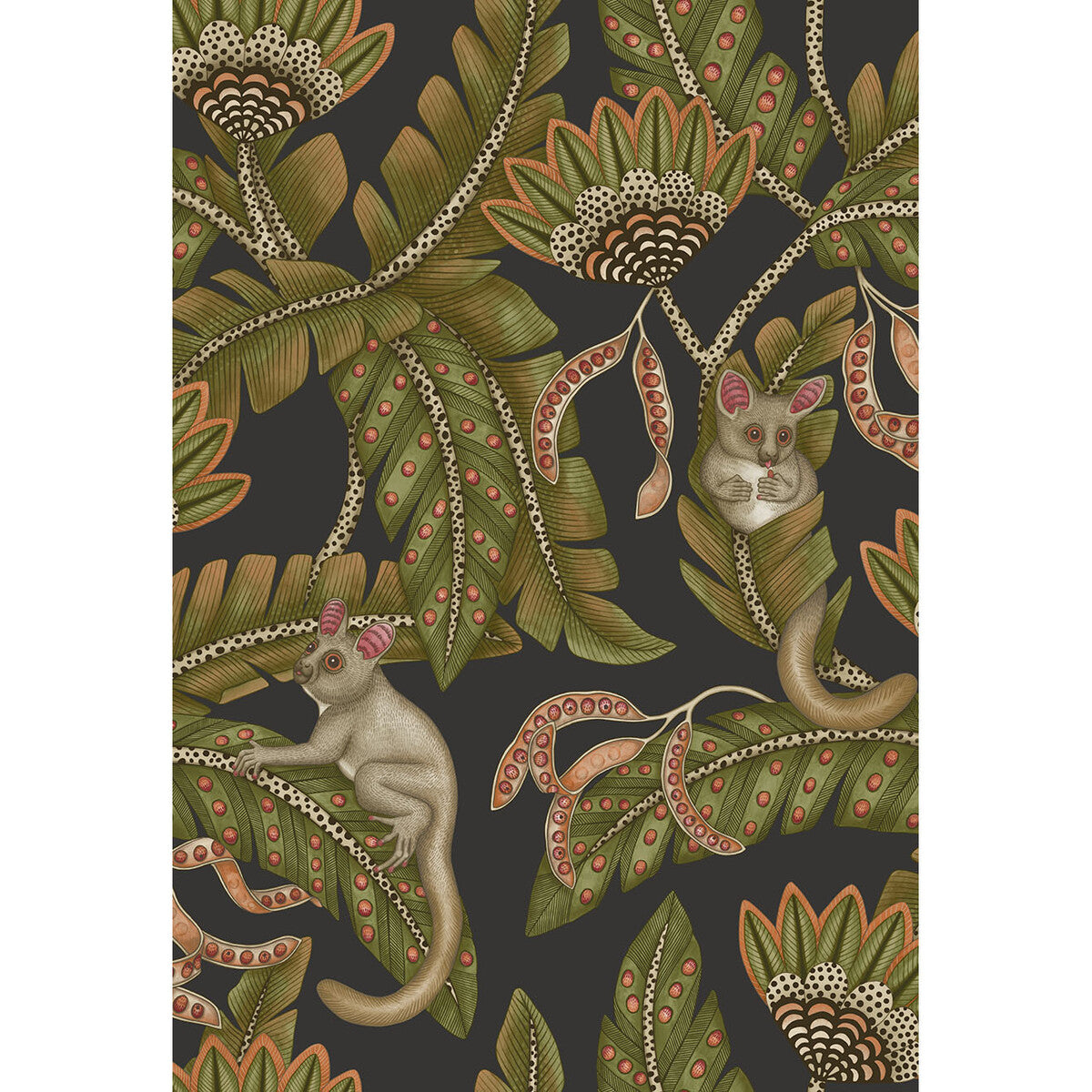 COLE & SON BUSH BABY SPGRN&ORNG/BLCK
