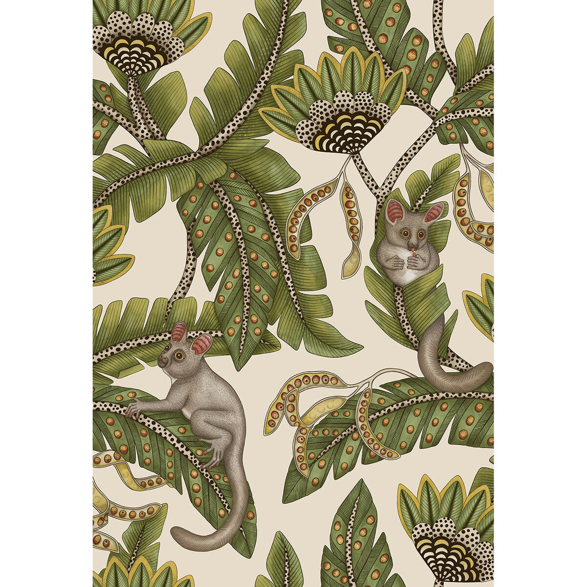 COLE & SON BUSH BABY SPRGRN&MRGLD/STN
