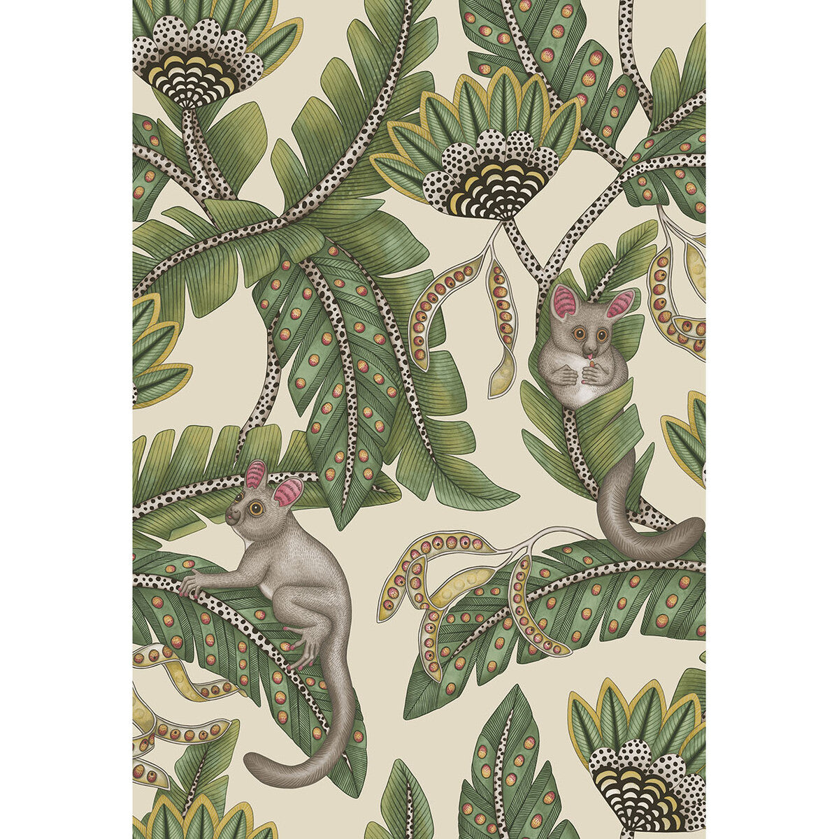 COLE & SON BUSH BABY SGE&CHRT/PRCHMNT