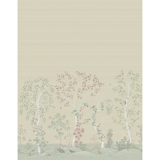 COLE & SON SEASONAL WOODS GRASSCLOTH OAT NATURAL
