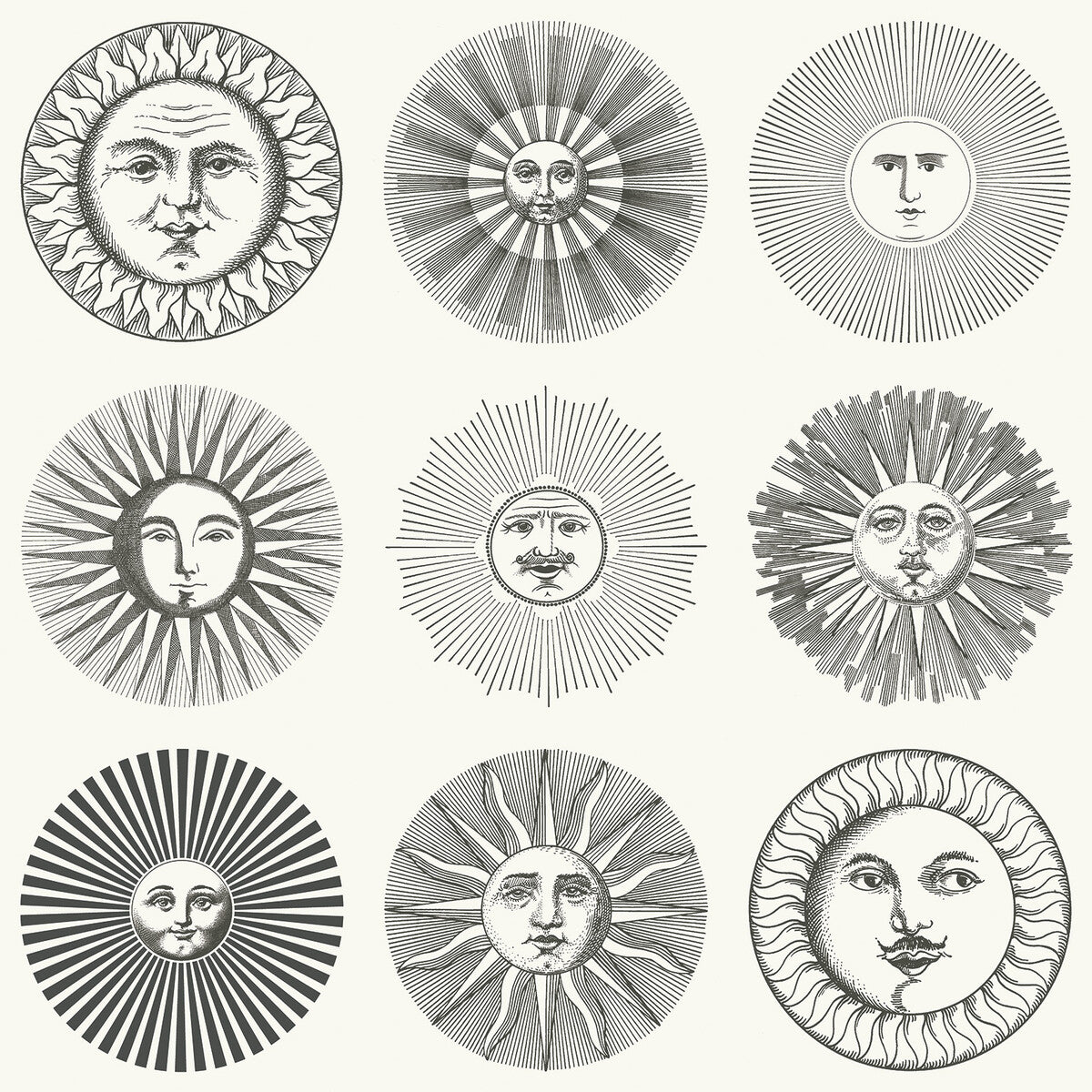 COLE & SON SOLI BLACK & WHITE