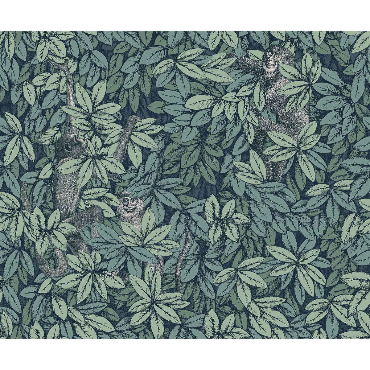 COLE & SON FOGLIE E SCIMMIE VIRIDIAN