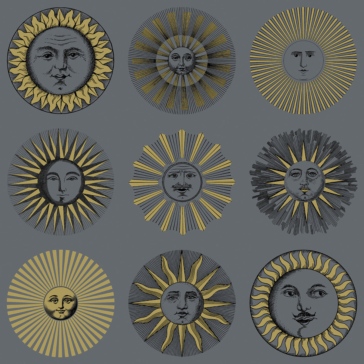 COLE & SON SOLI MIDNIGHT & SOFT GOLD