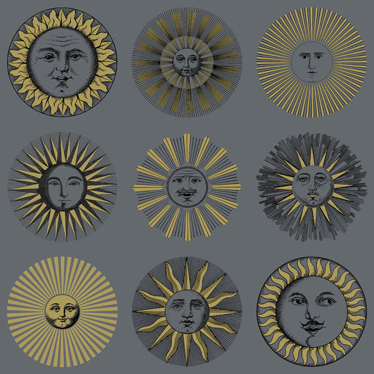 COLE & SON SOLI MIDNIGHT & SOFT GOLD