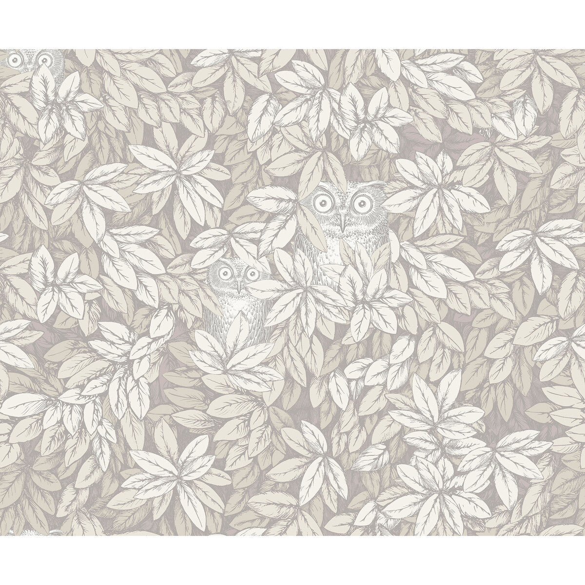 COLE & SON FOGLIE E CIVETTE WHITE