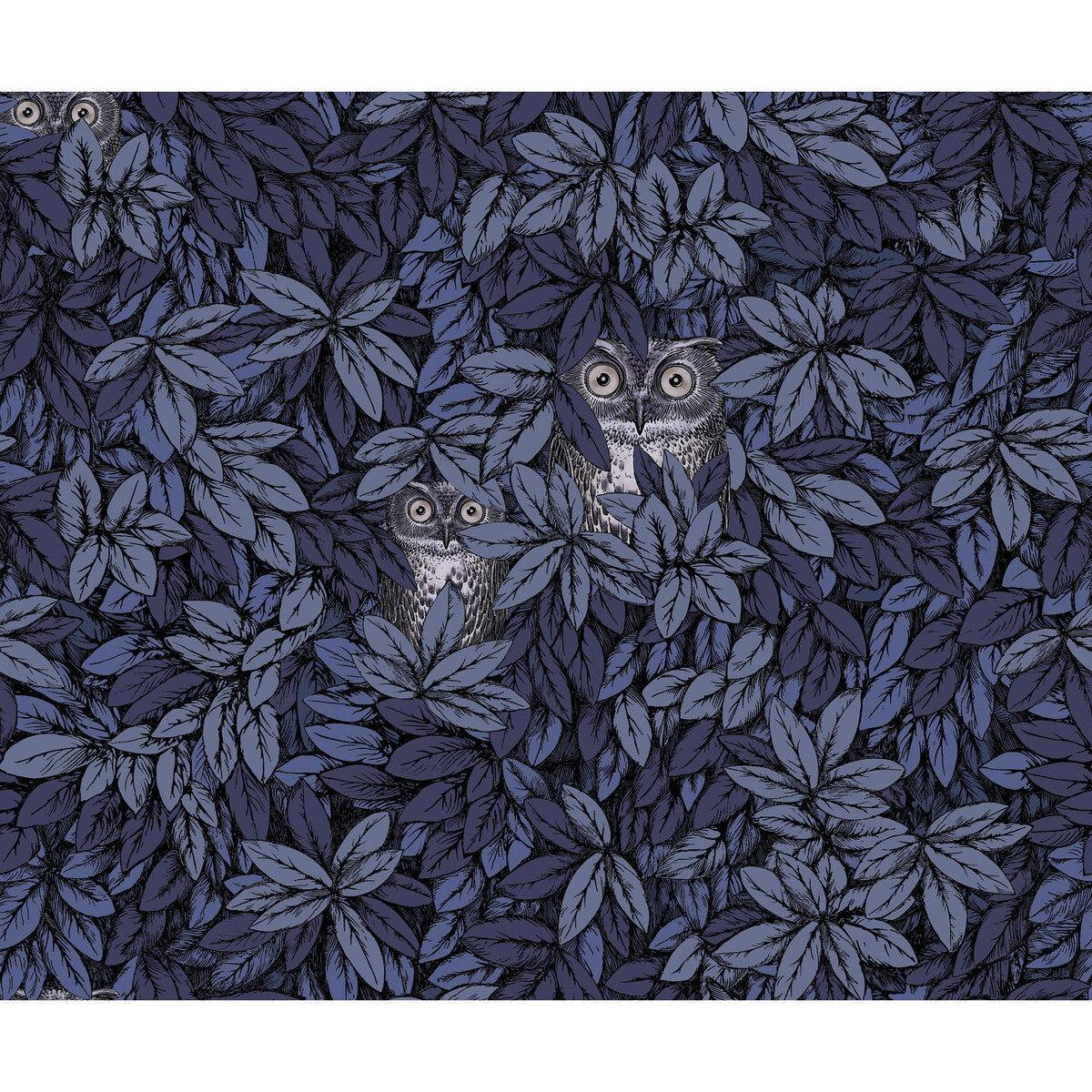 COLE & SON FOGLIE E CIVETTE MIDNIGHT