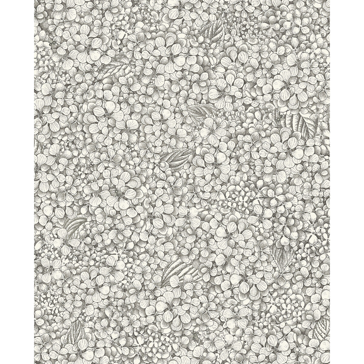 COLE & SON ORTENSIA BLACK & WHITE
