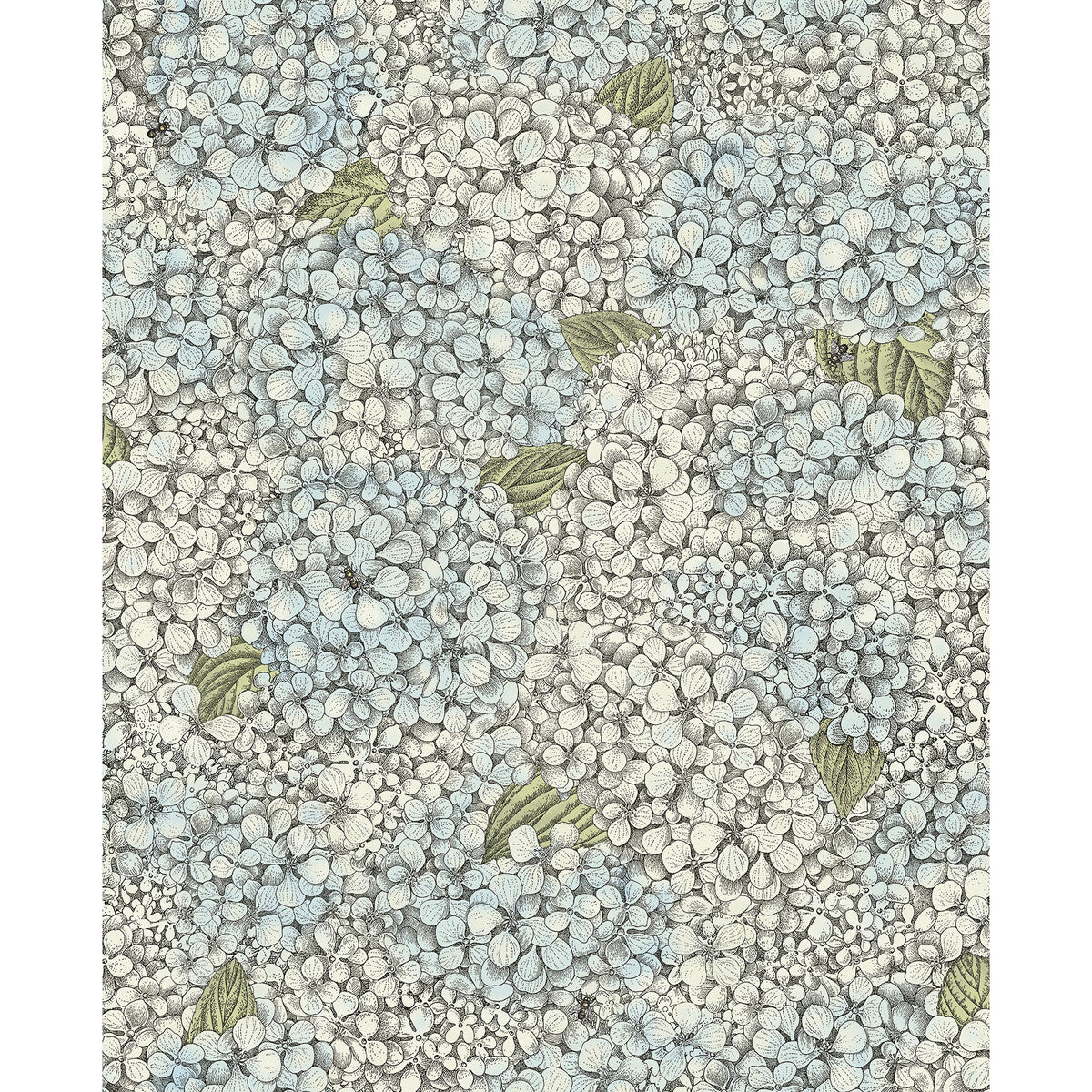 COLE & SON ORTENSIA BLUE & CREAM