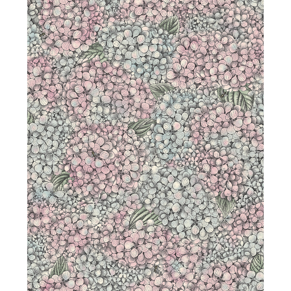 COLE & SON ORTENSIA PINK & BLUE