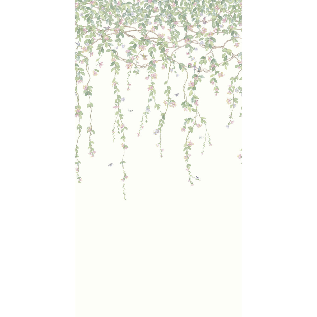 COLE & SON HUMMINGBIRDS FLORA BLUSH