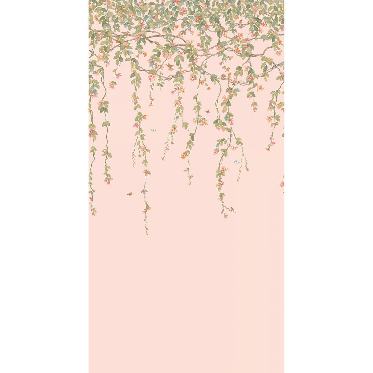COLE & SON HUMMINGBIRDS FLORA PINK