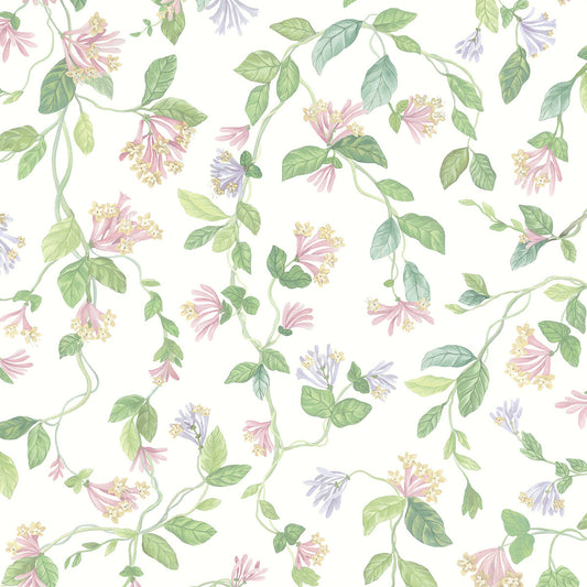 COLE & SON FLORA PINK/PURPLE