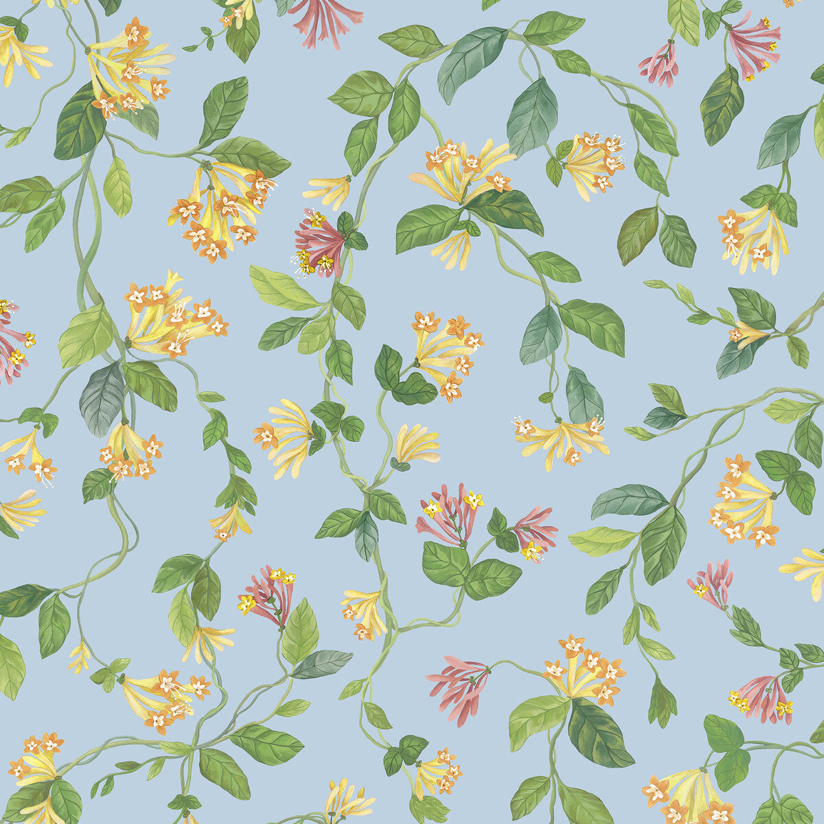 COLE & SON FLORA BLUE/ORANGE
