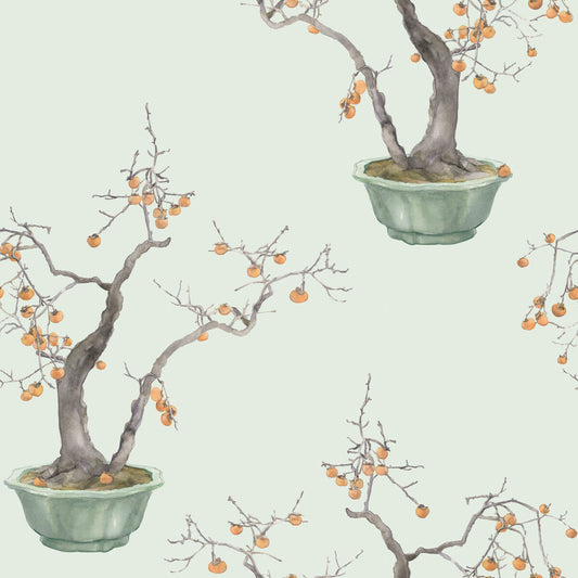 COLE & SON KAKI PERSIMMON JADE GREEN