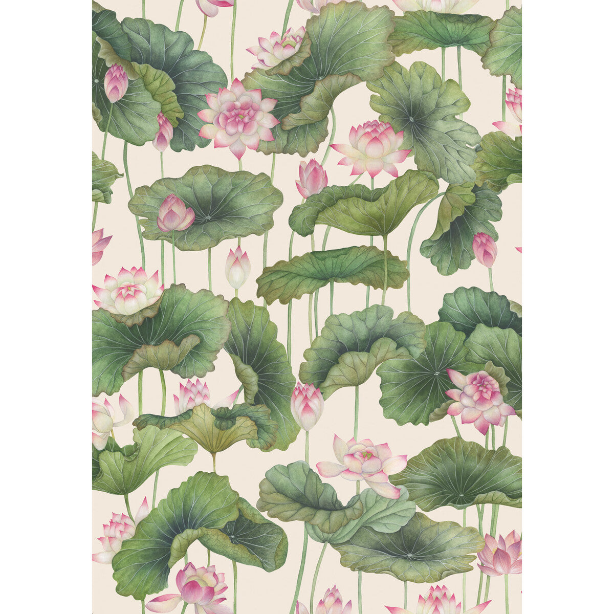 COLE & SON LILY LOTUS PINK