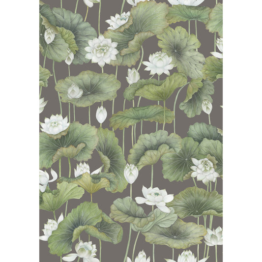 COLE & SON LILY LOTUS WHITE/CHARCOAL