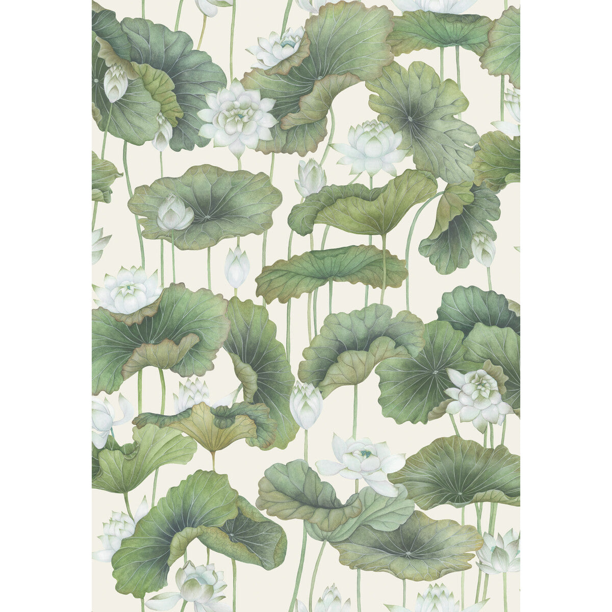COLE & SON LILY LOTUS WHITE/CREAM