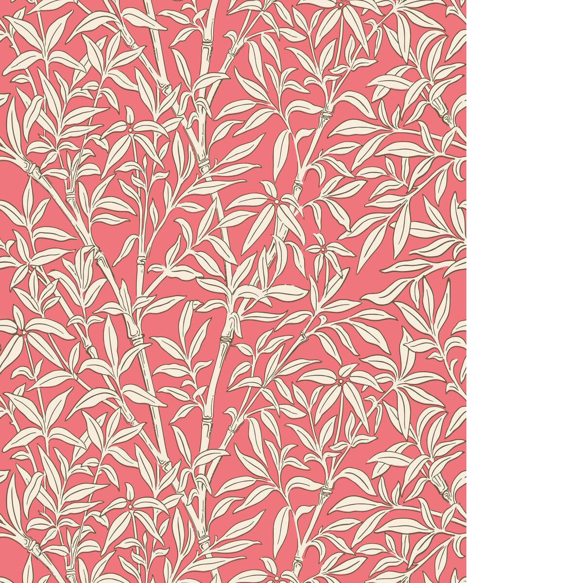 COLE & SON BAMBOO FOREST CHALK/ROUGE