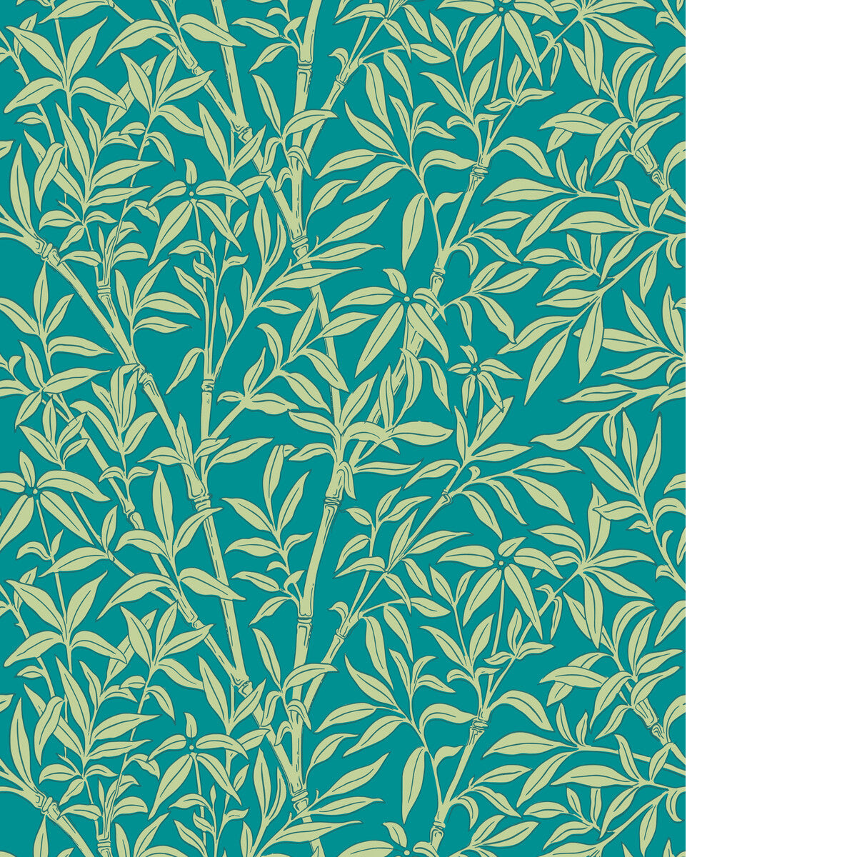 COLE & SON BAMBOO FOREST PETROL