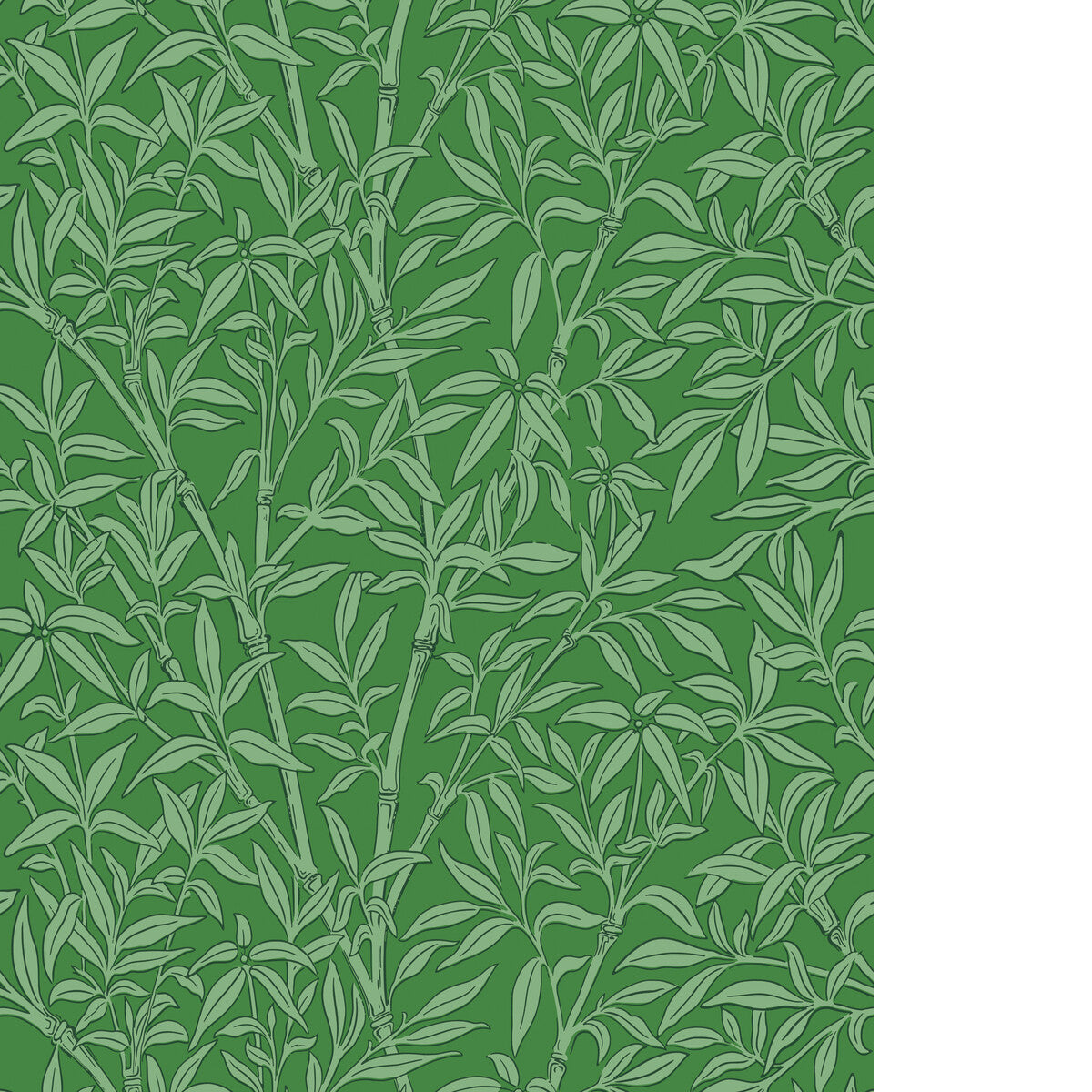 COLE & SON BAMBOO FOREST EMERALD