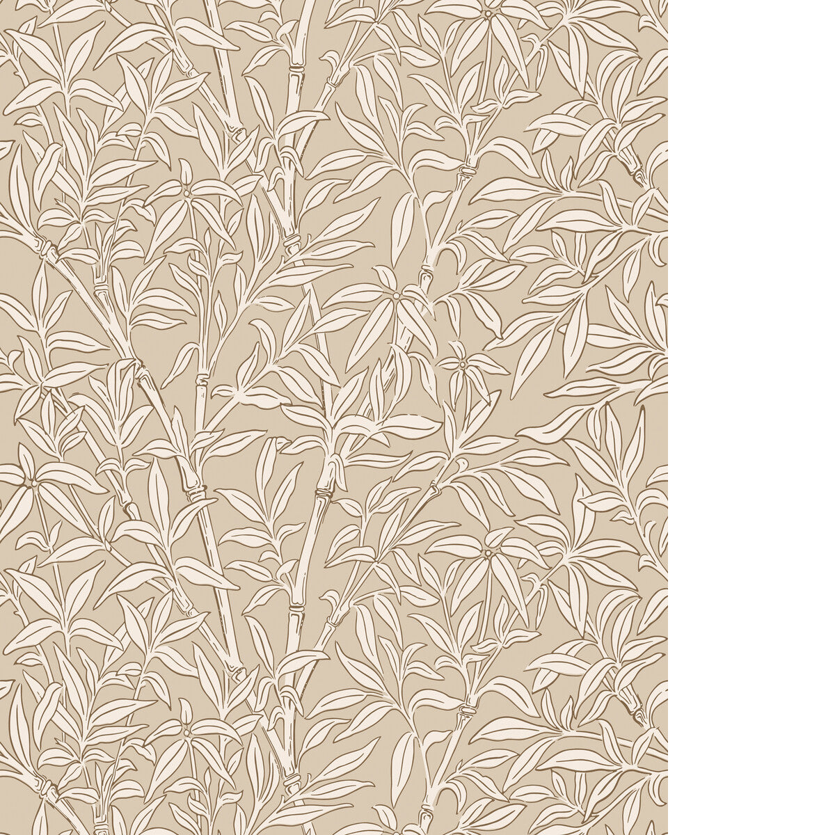 COLE & SON BAMBOO FOREST OAT