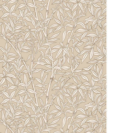 COLE & SON BAMBOO FOREST OAT