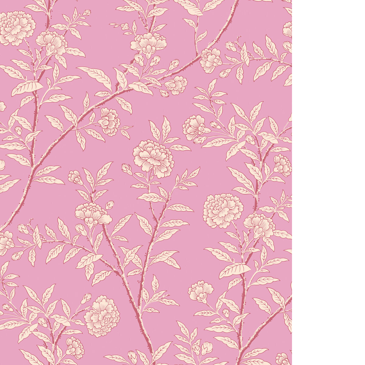 COLE & SON ROSEBERRY FUCHSIA