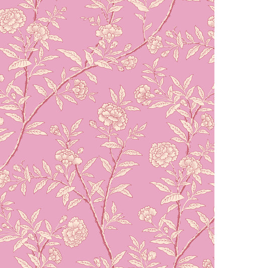 COLE & SON ROSEBERRY FUCHSIA