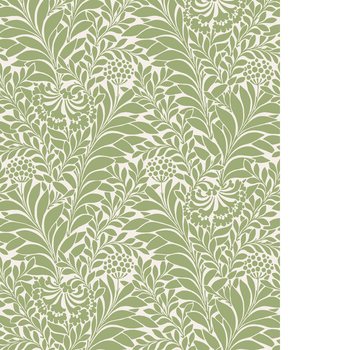 COLE & SON HONEYSUCKLE SPRING GREEN