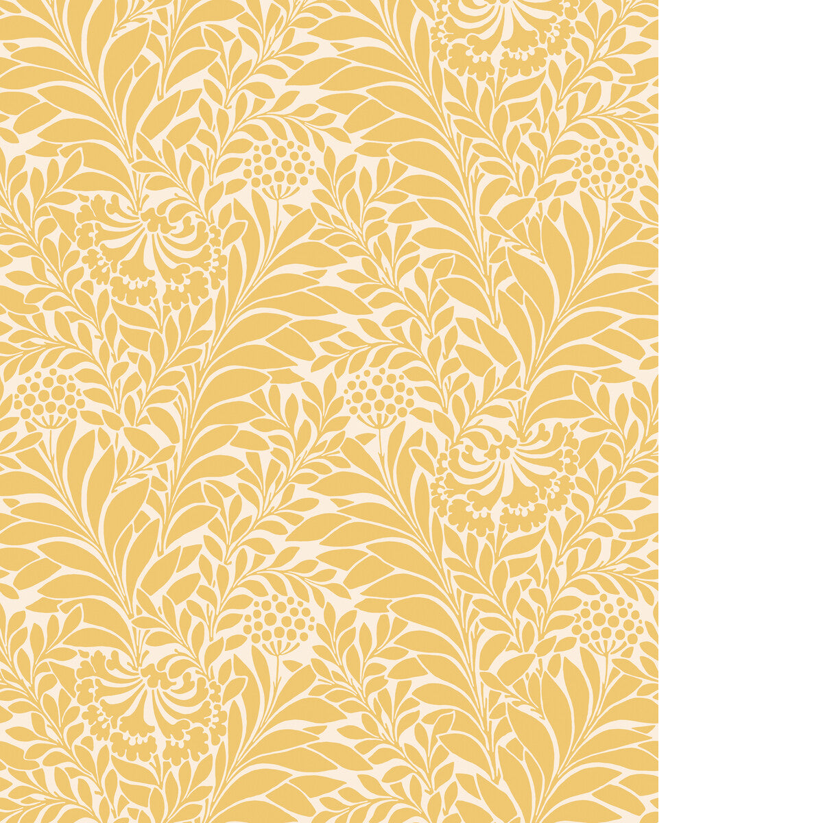 COLE & SON HONEYSUCKLE DAFFODIL