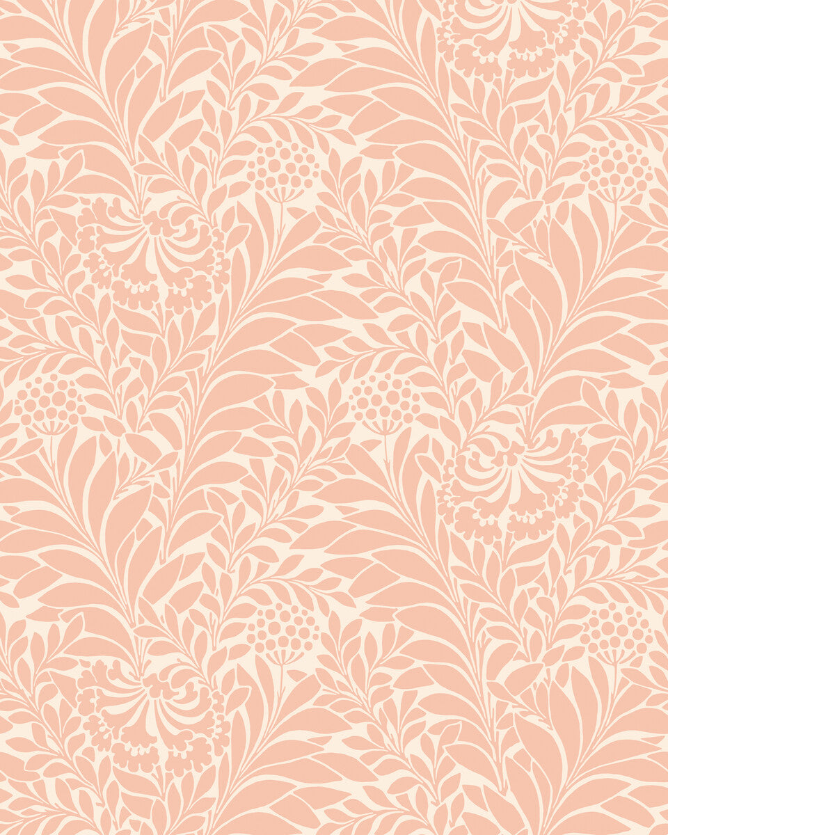 COLE & SON HONEYSUCKLE BLUSH