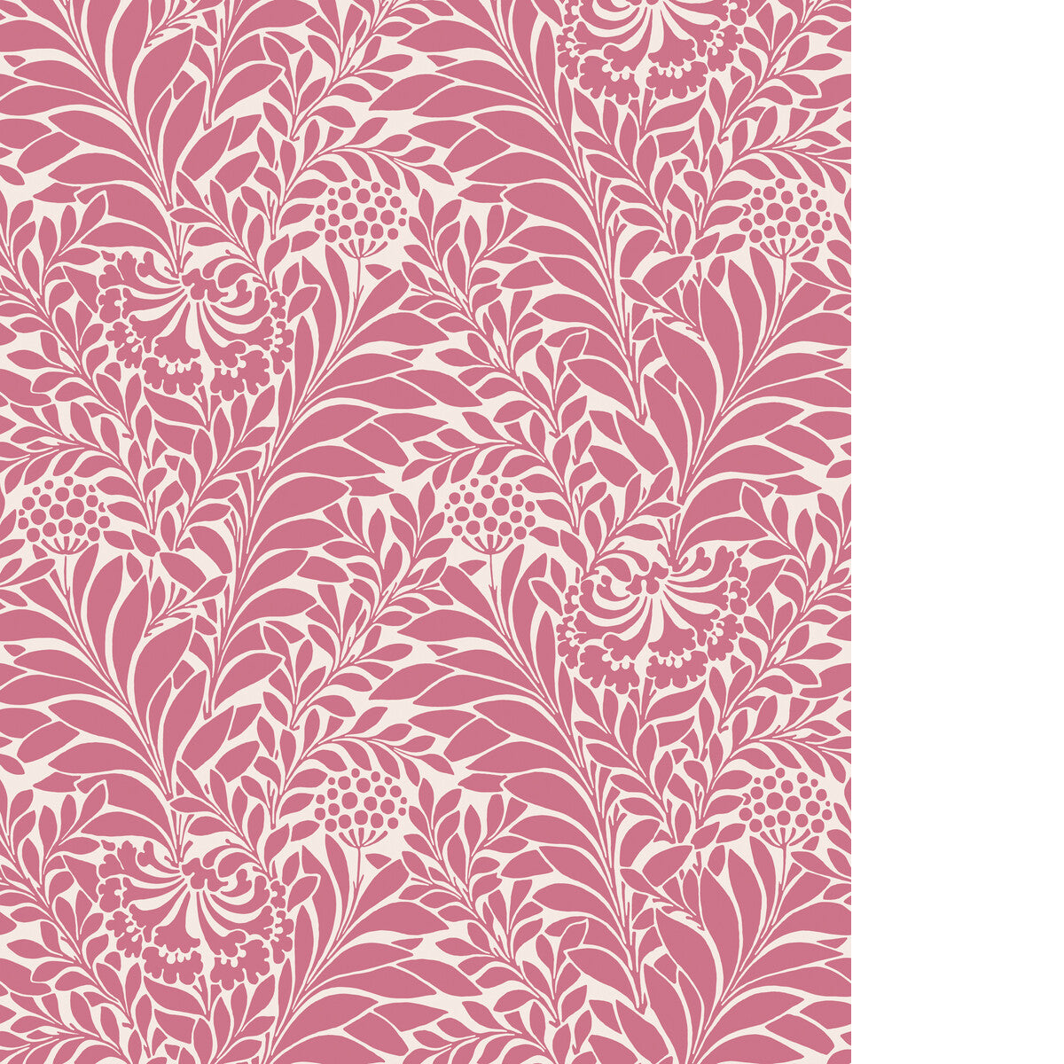 COLE & SON HONEYSUCKLE RASPBERRY