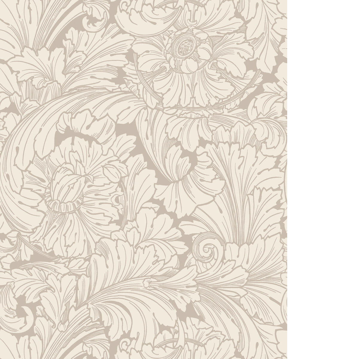 COLE & SON ACANTHUS CREAM/PEBBLE