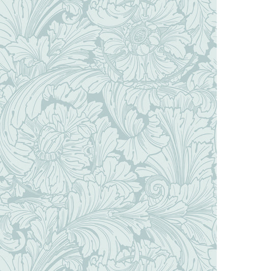COLE & SON ACANTHUS PRINT ROOM BLUE