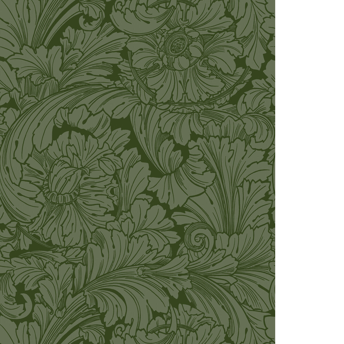 COLE & SON ACANTHUS FOREST