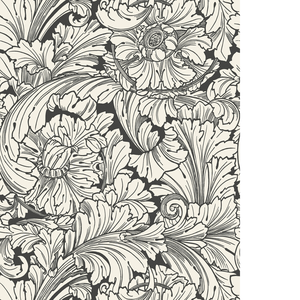 COLE & SON ACANTHUS SOOT/SNOW