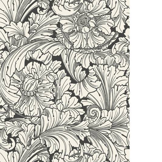COLE & SON ACANTHUS SOOT/SNOW