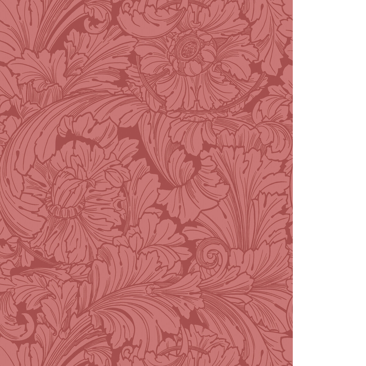 COLE & SON ACANTHUS STATELY HOME RED