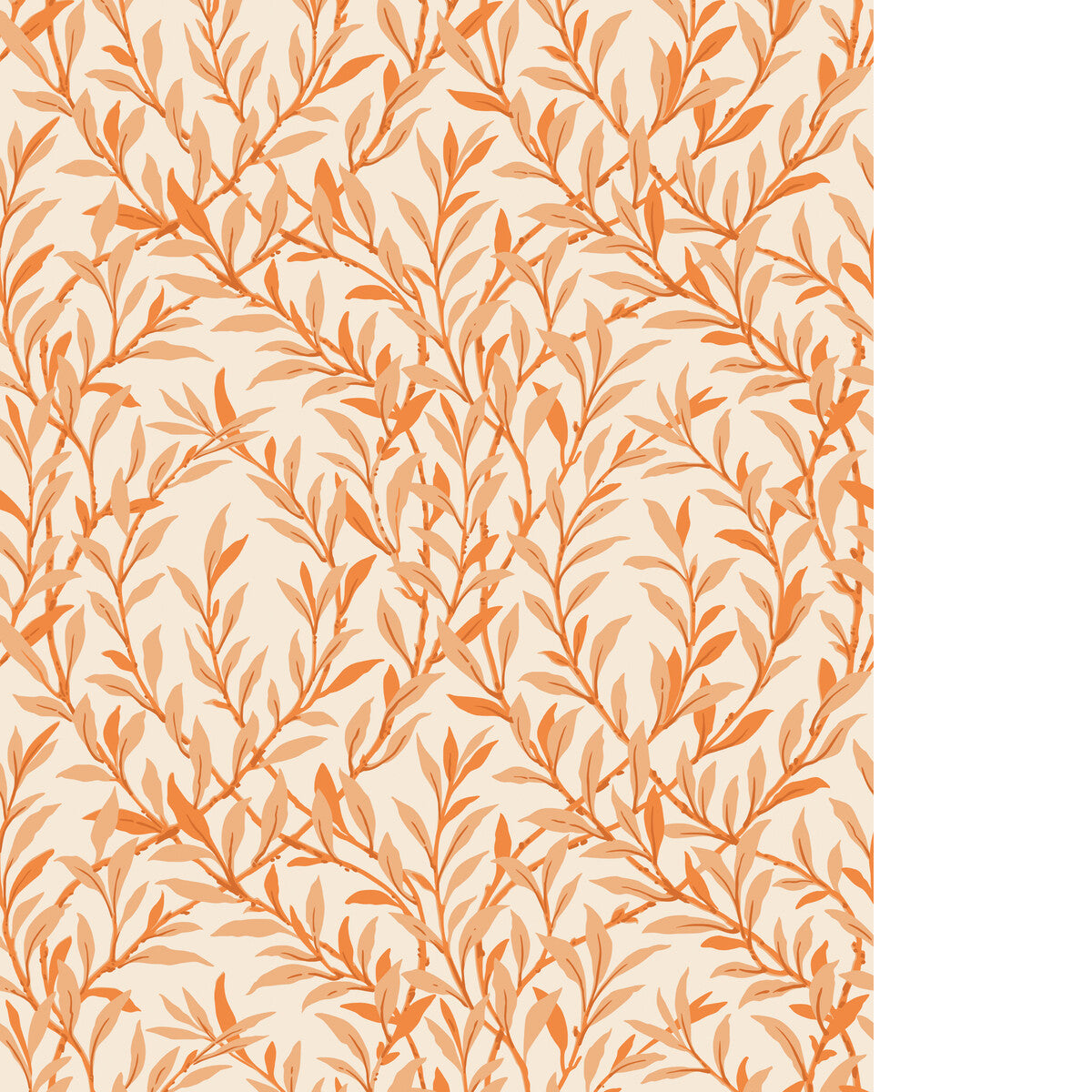 COLE & SON WILLOW BRANCH TANGERINE/CREAM