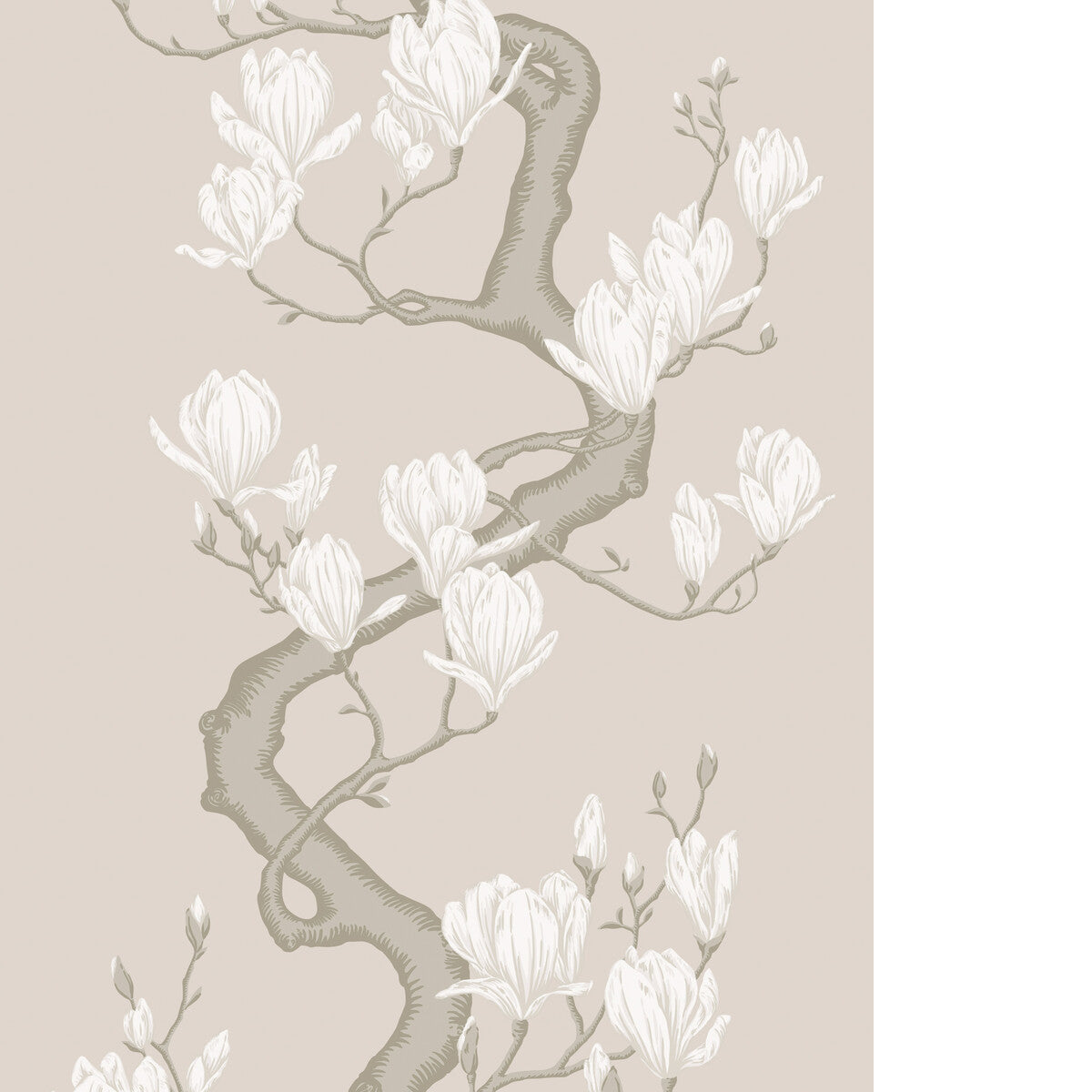 COLE & SON MAGNOLIA TREE SOFT CREAM