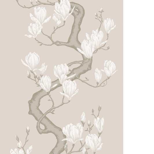 COLE & SON MAGNOLIA TREE SOFT CREAM