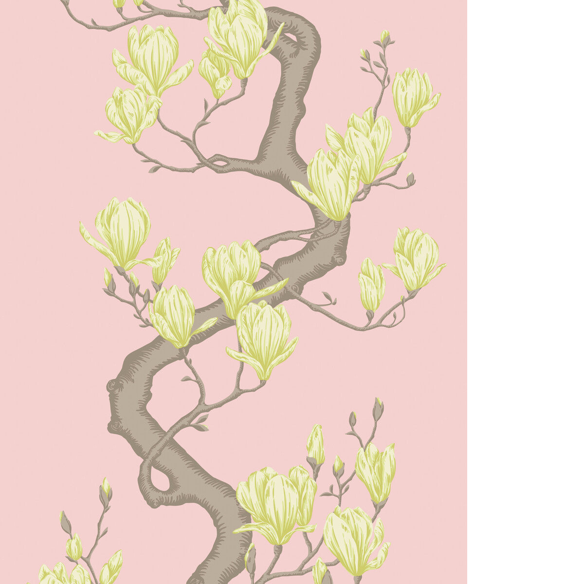 COLE & SON MAGNOLIA TREE ROSE PINK