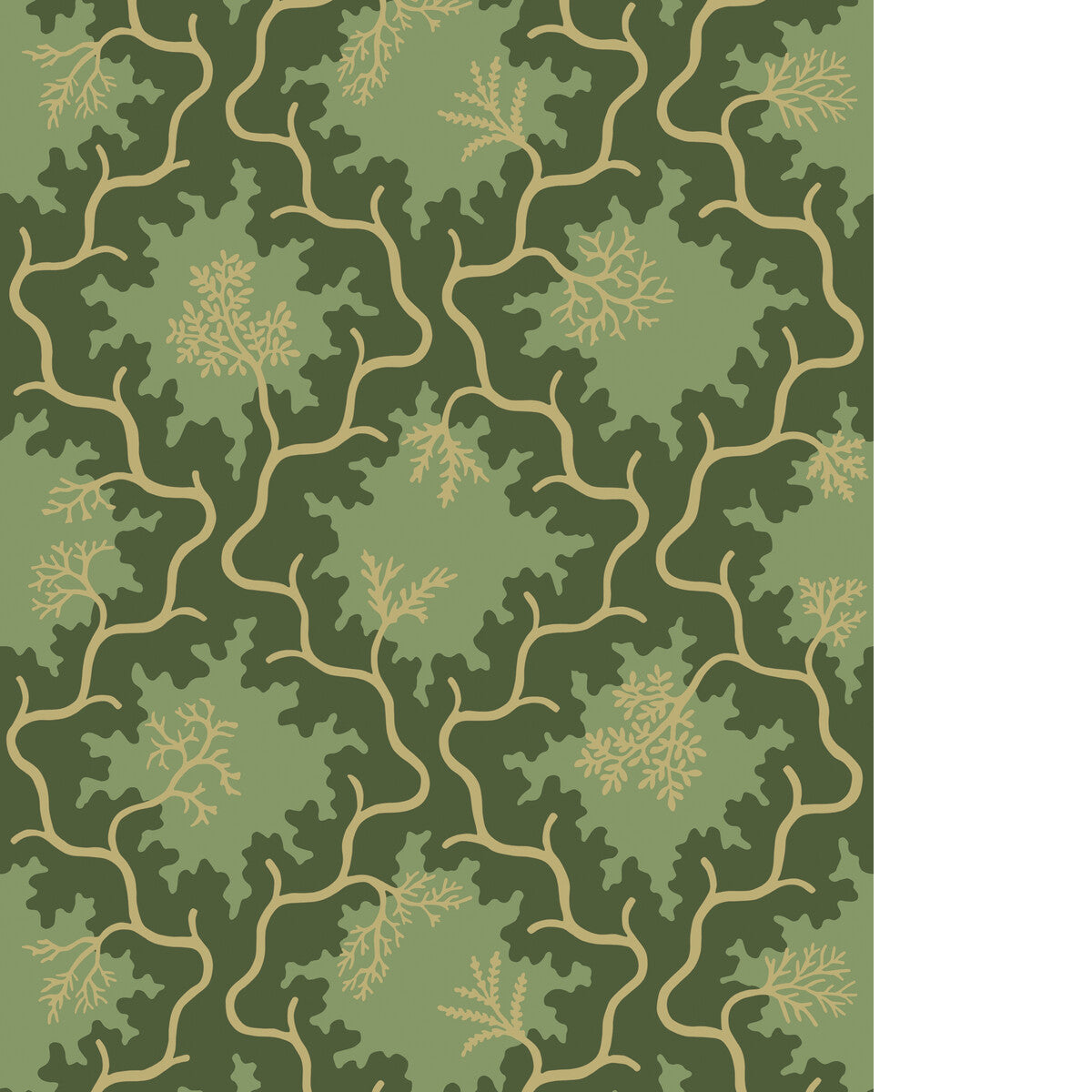 COLE & SON MOSS TRELLIS EVERGREEN